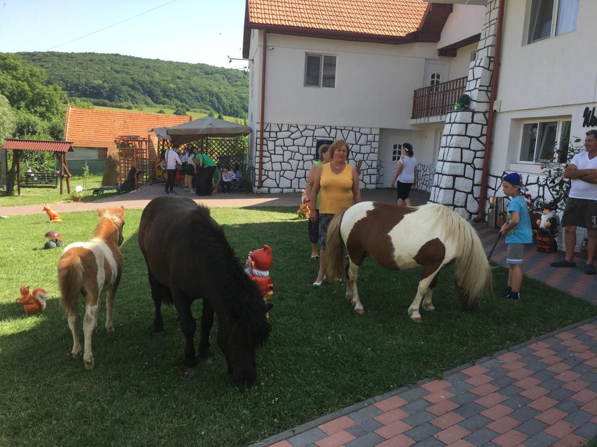 Casuta Cu Flori Hotel Előpatak Kültér fotó