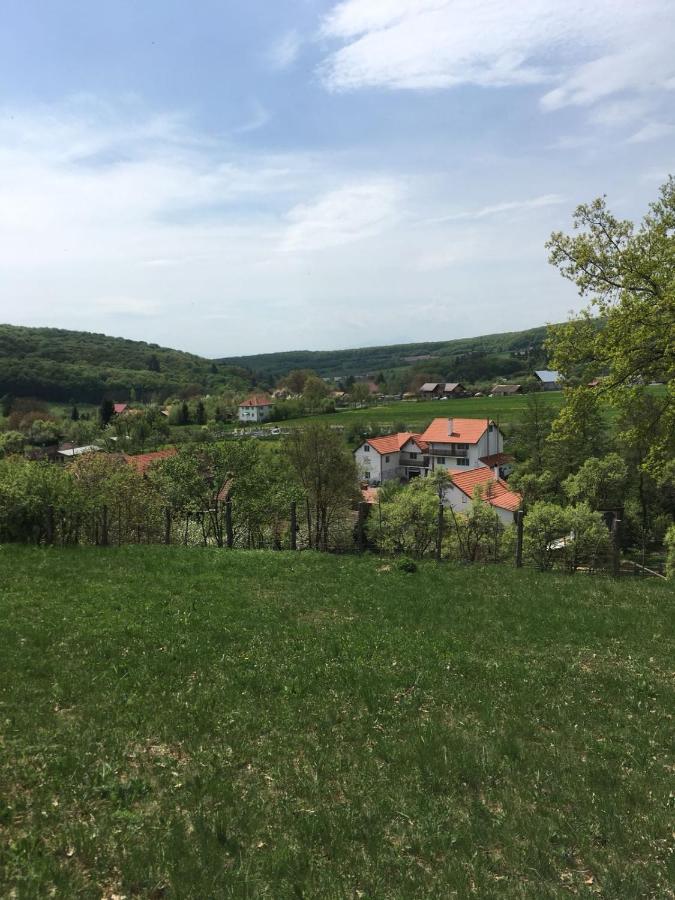 Casuta Cu Flori Hotel Előpatak Kültér fotó